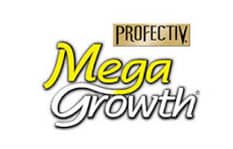 Mega New Logo